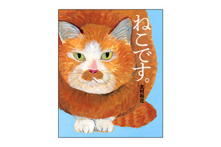 ねこがたくさん登場する絵本！ 『ねこです。』読み聞かせのコツ｜画像