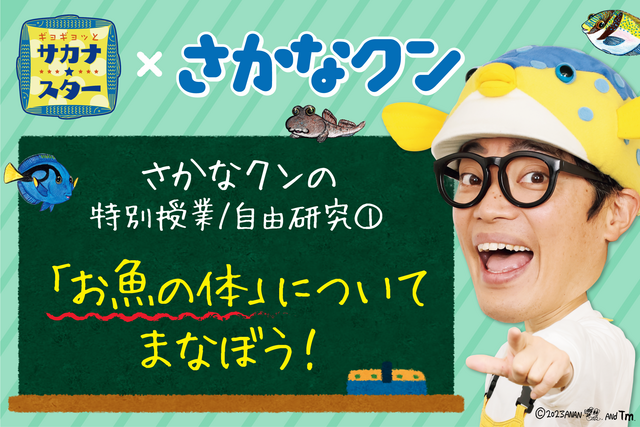 さかなクンが全国の小中学生に向けてお魚講座！　マダイにあってウツボやエイにないものとは？