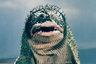 10月16日 ウルトラマン 価格高騰！ 真珠を食べる怪獣ガマクジラが出現