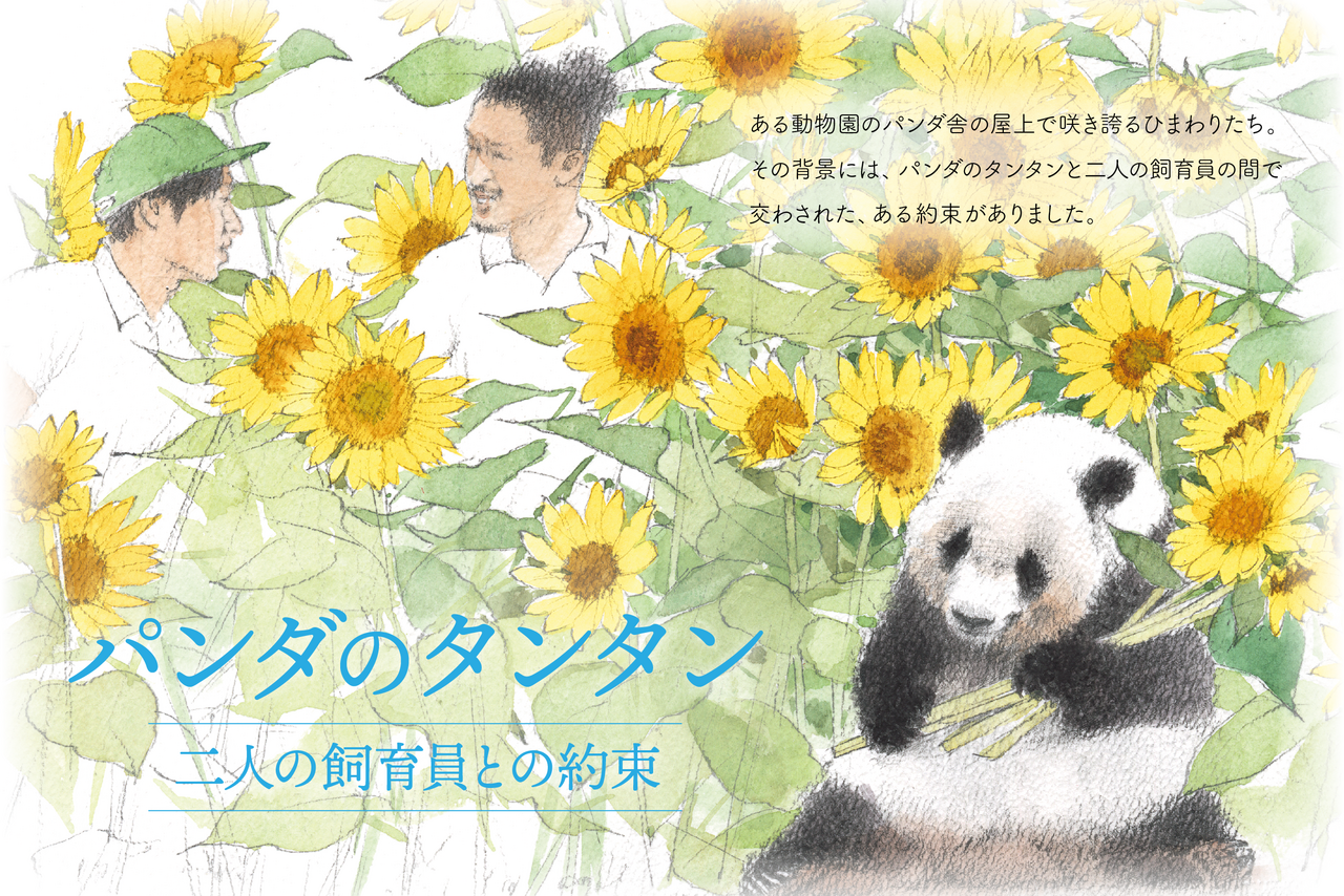 パンダのタンタン 二人の飼育員との約束」オフィシャルサイト