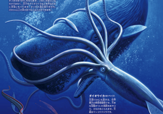 深海】マッコウクジラとバトルも！世界最大の軟体動物ダイオウイカの