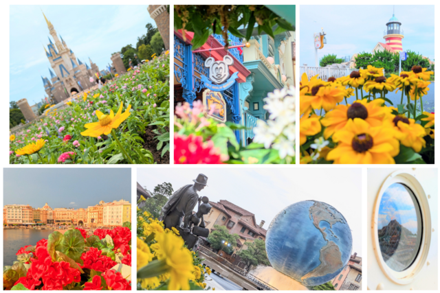 東京ディズニーリゾートの“映え写真”が撮れた! パークをフォト散歩して発見したコツと充足感