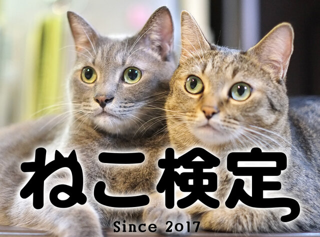 子どもの自信になる「合格」という成功体験　【おもしろ検定　４選】ねこ・いぬ・恐竜・さかな……　自由研究にも使える！