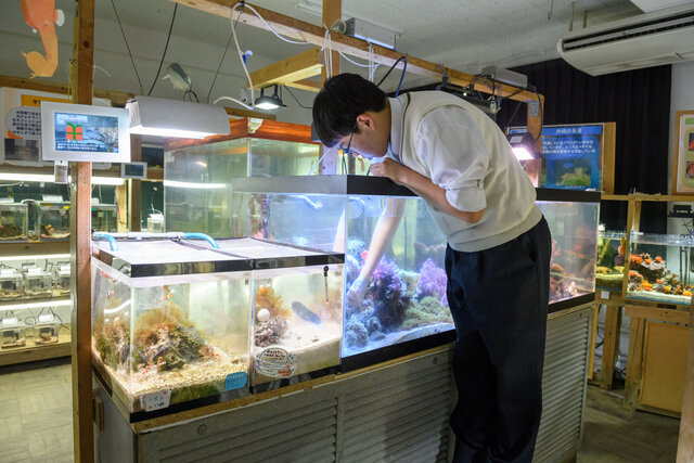 高校卒業後、夢を叶えて水族館職員になった生徒も! 日本で唯一の「水族館部」って?
