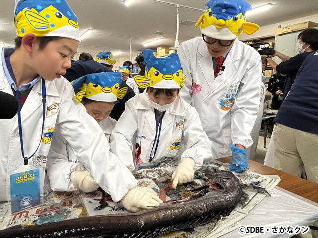 さかなクンと小学生探究隊が調査！ミズウオ解剖で海洋プラスチックごみの深刻さを実感