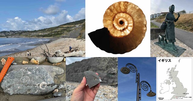 【古生物学者調査記】まさにアンモナイトの楽園！イギリスの「ジュラシック・コースト」で数々の古生物化石を発見！
