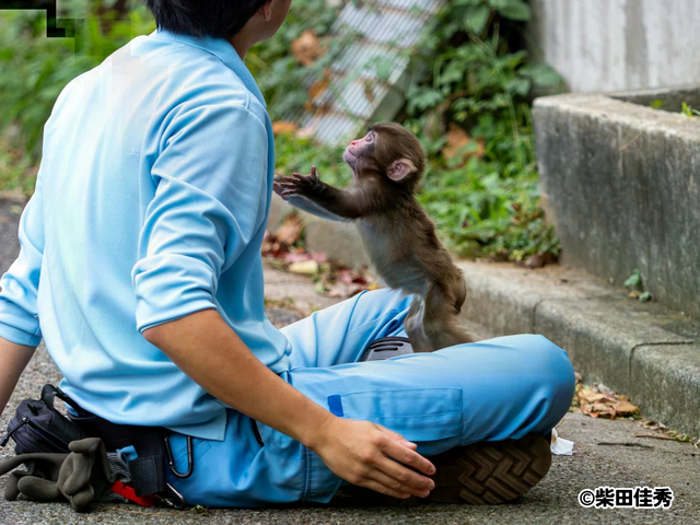 ぬいぐるみがママ代わり「がんばれパンチくん」の【市川市動植物園】へ行ってきました！