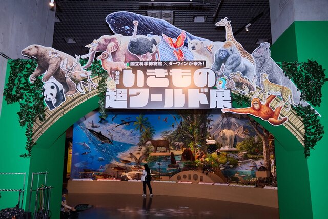 【いきもの超ワールド展】国立科学博物館×ダーウィンが来た！の見どころを図鑑執筆者が徹底解説