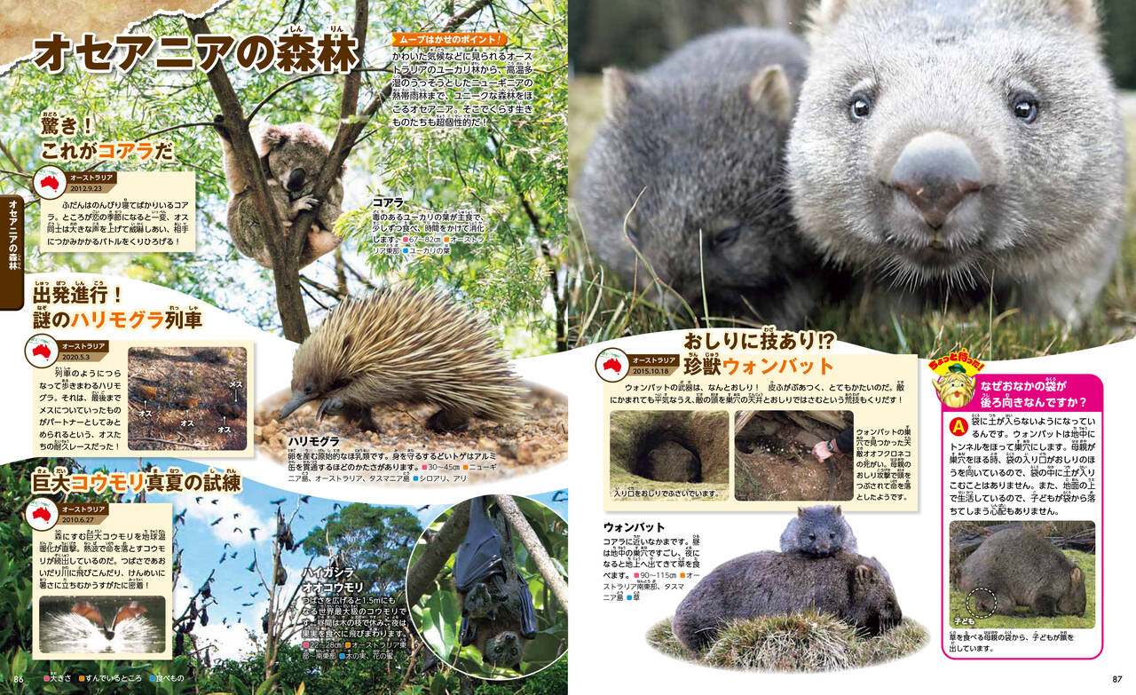 ダーウィンが来た！　地球まるごと生きもの図鑑