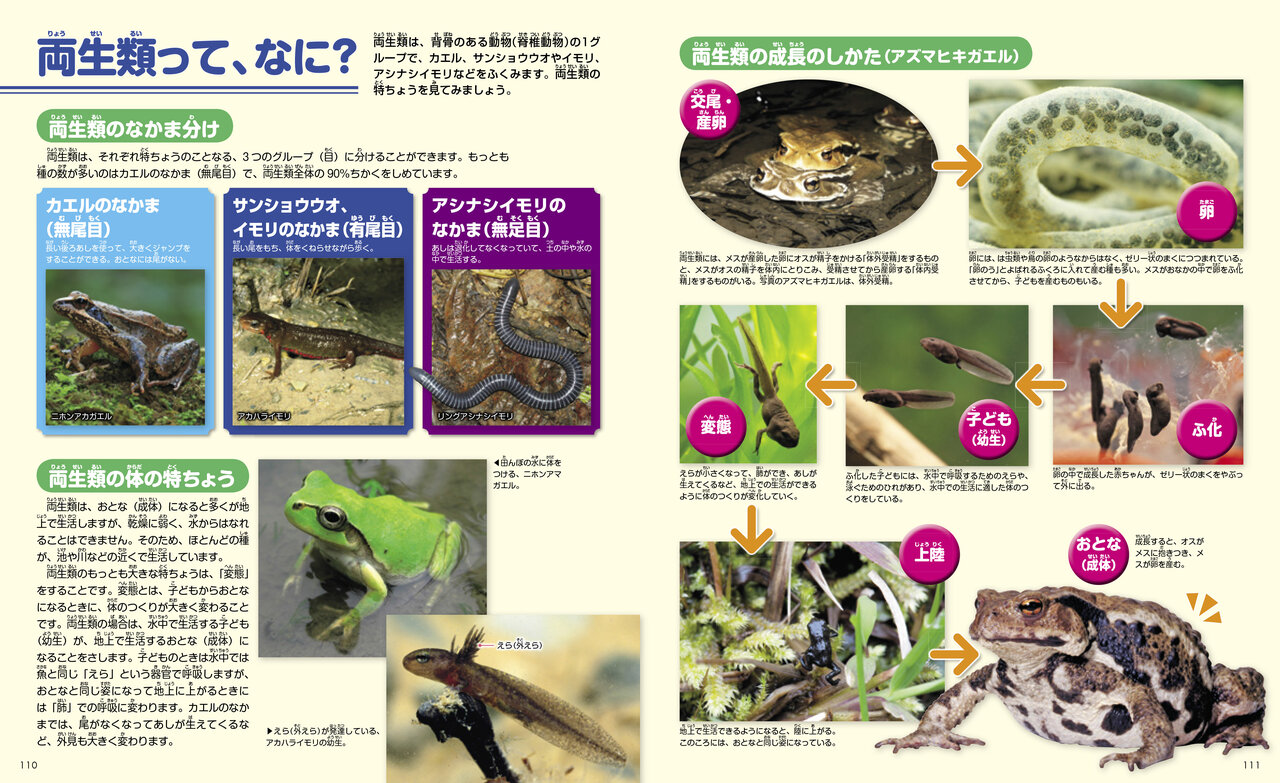 講談社の動く図鑑move