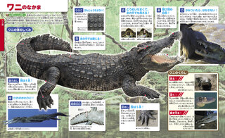 は虫類 両生類 講談社の動く図鑑move