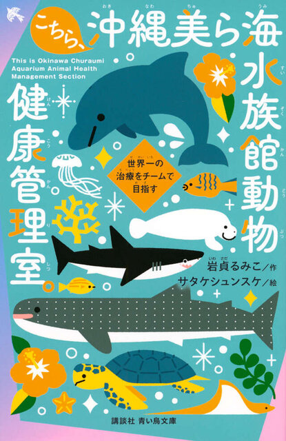 こちら、沖縄美ら海水族館動物健康管理室。　世界一の治療をチームで目指す