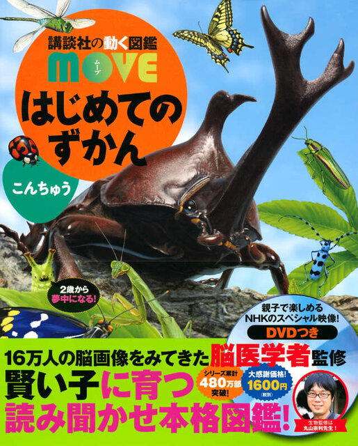 はじめてのずかん こんちゅう