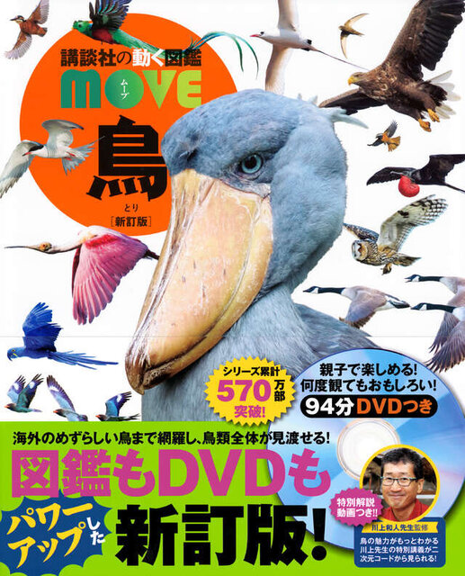 鳥　新訂版