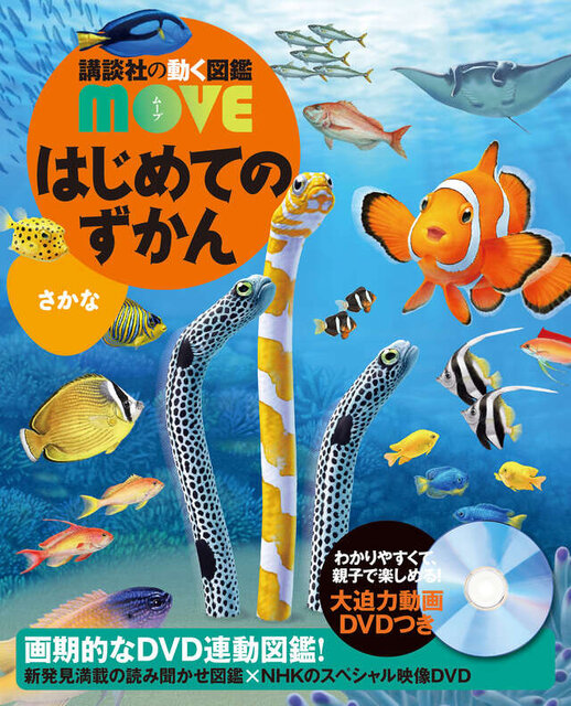 未就学児向け！「はじめてのずかん　さかな」