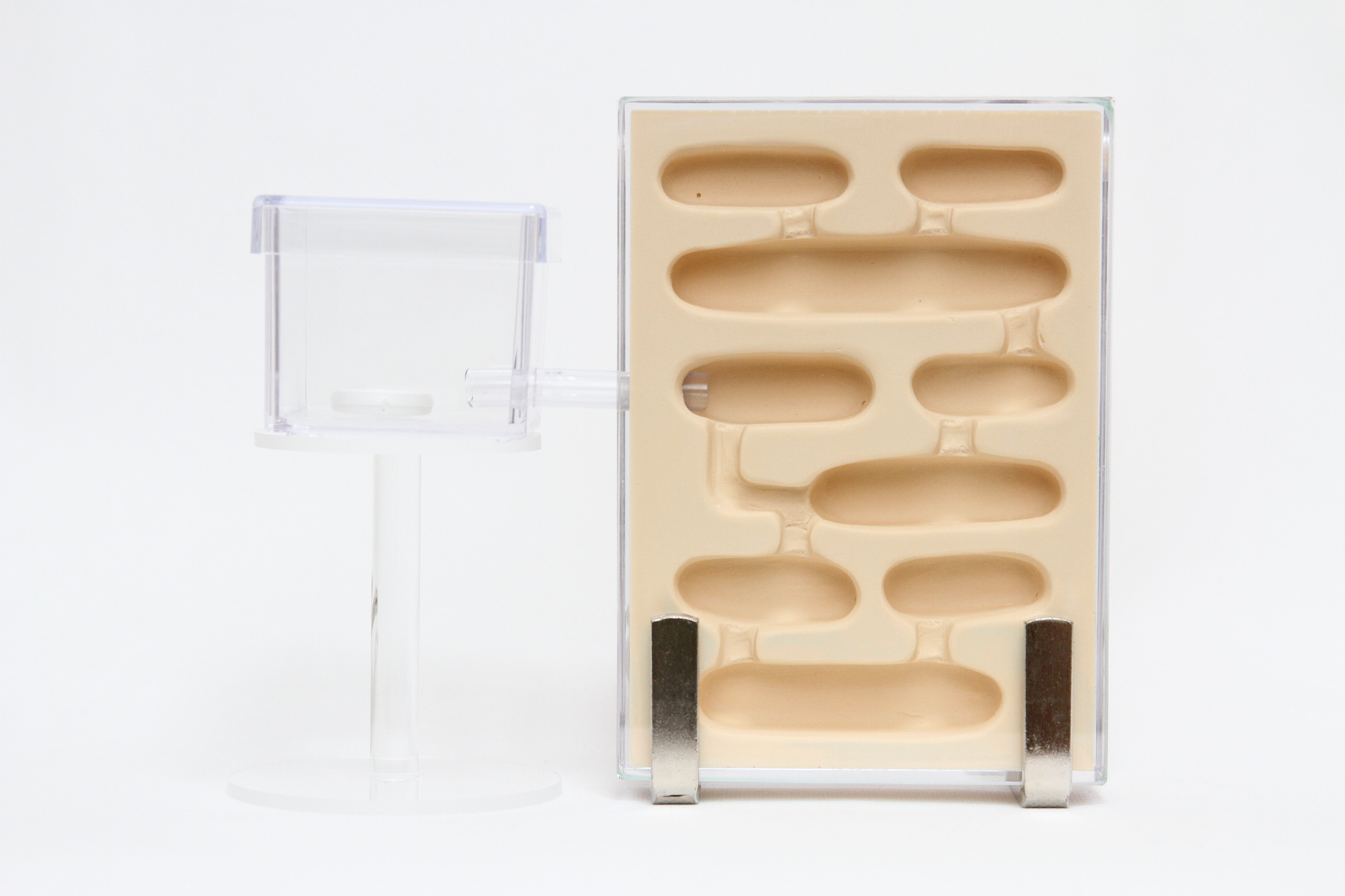 アリ石膏飼育ケースDX(特大)