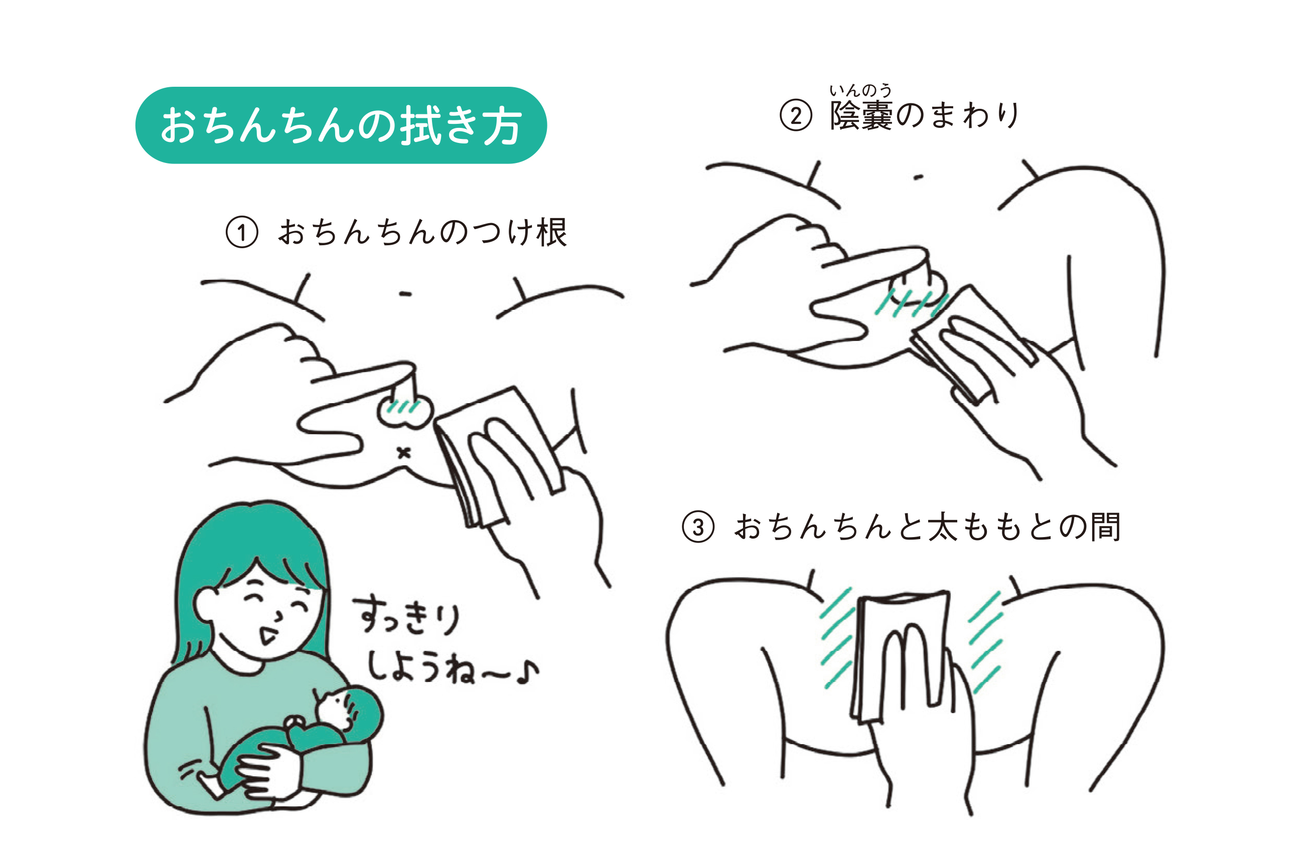 子どものおちんちん おまたはどう洗えば正解 ママ泌尿器科医が教える正しいケア コクリコ 子どものおちんちん おまたはどう洗えば正解 ママ泌尿器科医が教える正しいケア コクリコ