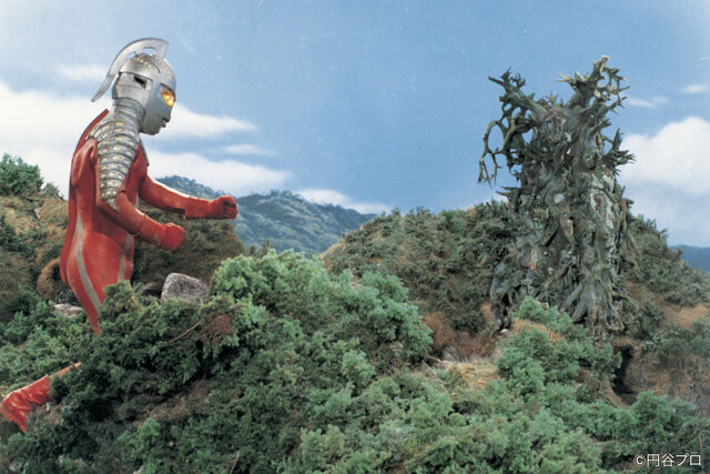 間違って鼻を洗うとどうなりますか？