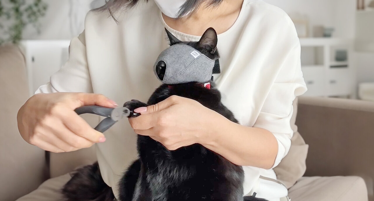 ▲「猫ひっかき病」の予防には爪切りが効果的。「目隠しをするとおとなしくなる」ネコの習性を活用すると、安全に爪切りしやすくなる(写真:nekozuki『もふもふマスク』)