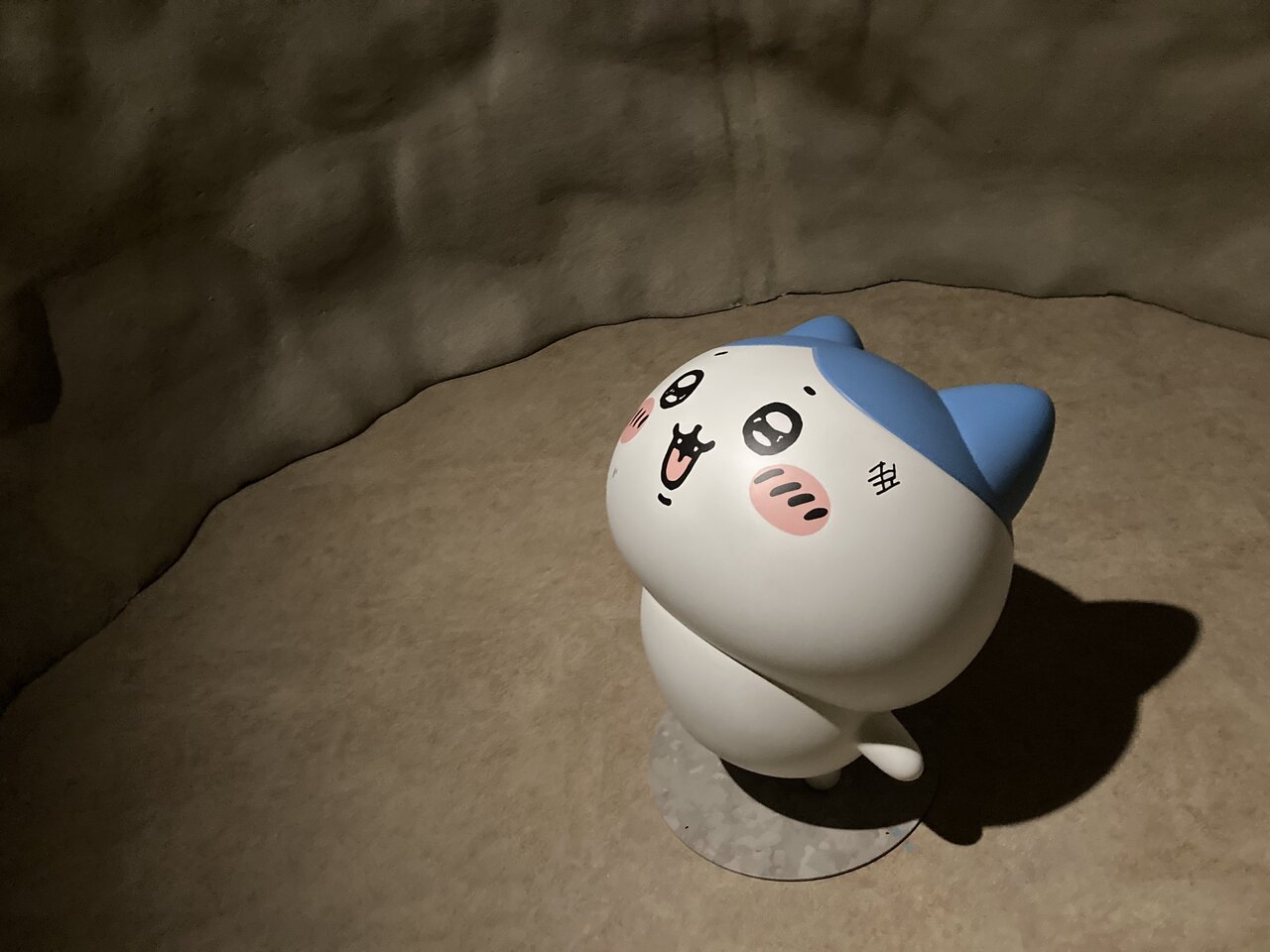 穴に落ちたハチワレ