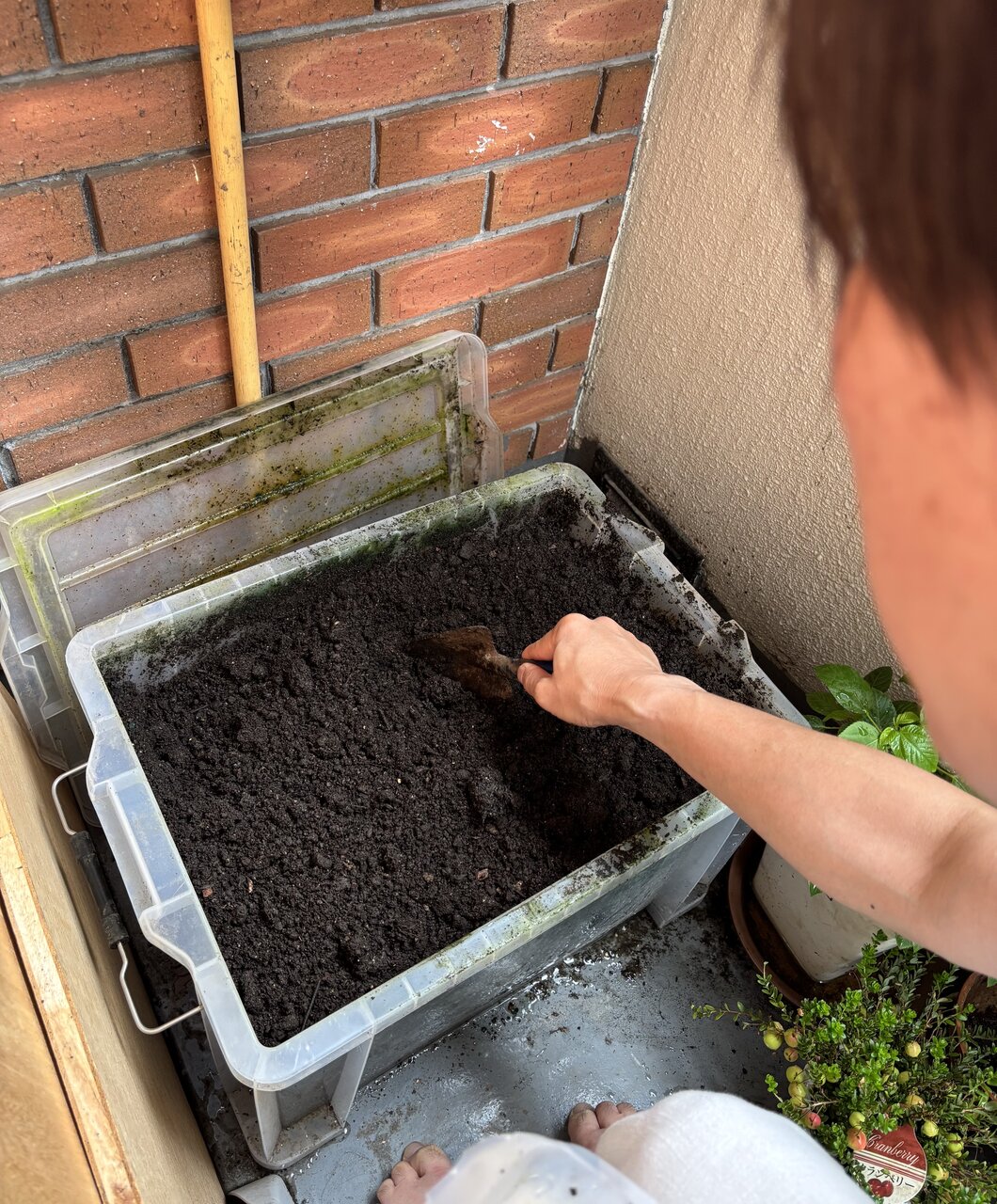 コンポスト