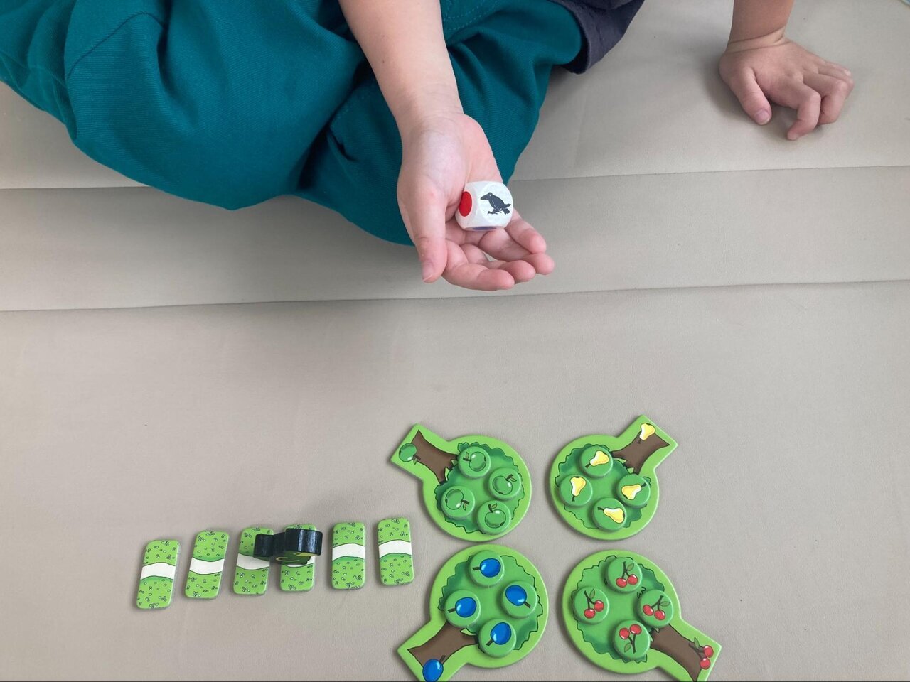 歳の差きょうだいでも対等に遊べるボードゲーム「果樹園ミニ」