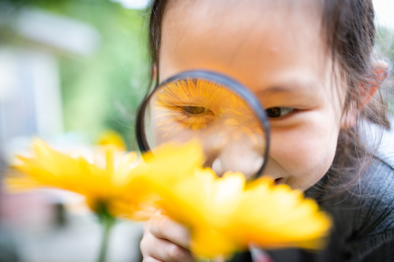 虫眼鏡をつかって花を観察する子ども