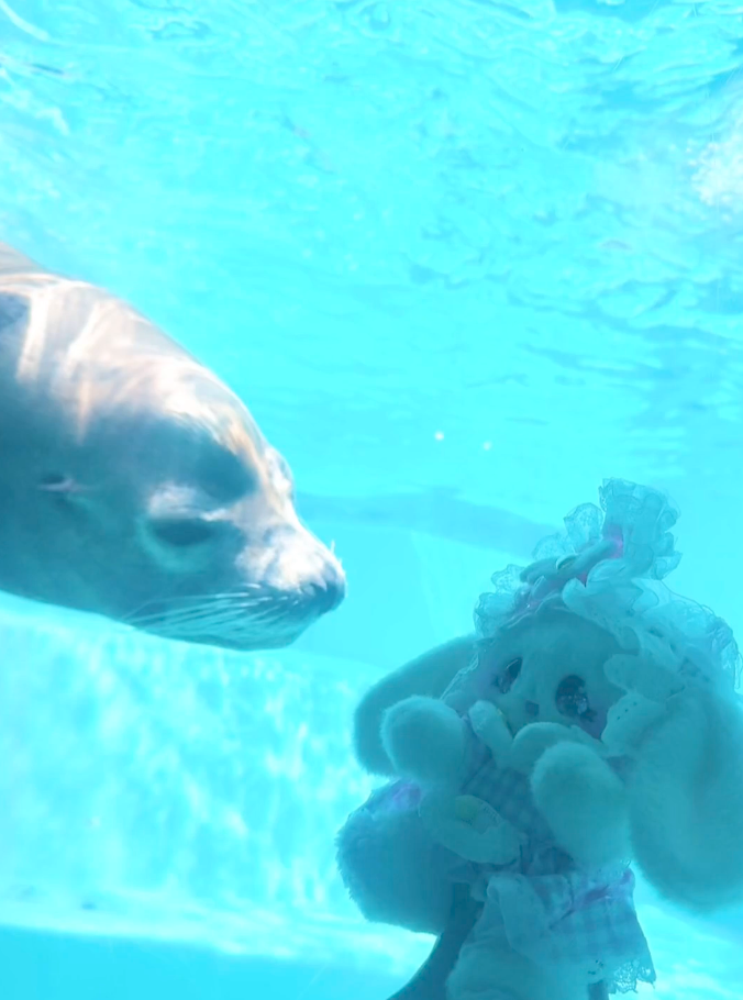 ぷりまるちゃん♡水族館フォト