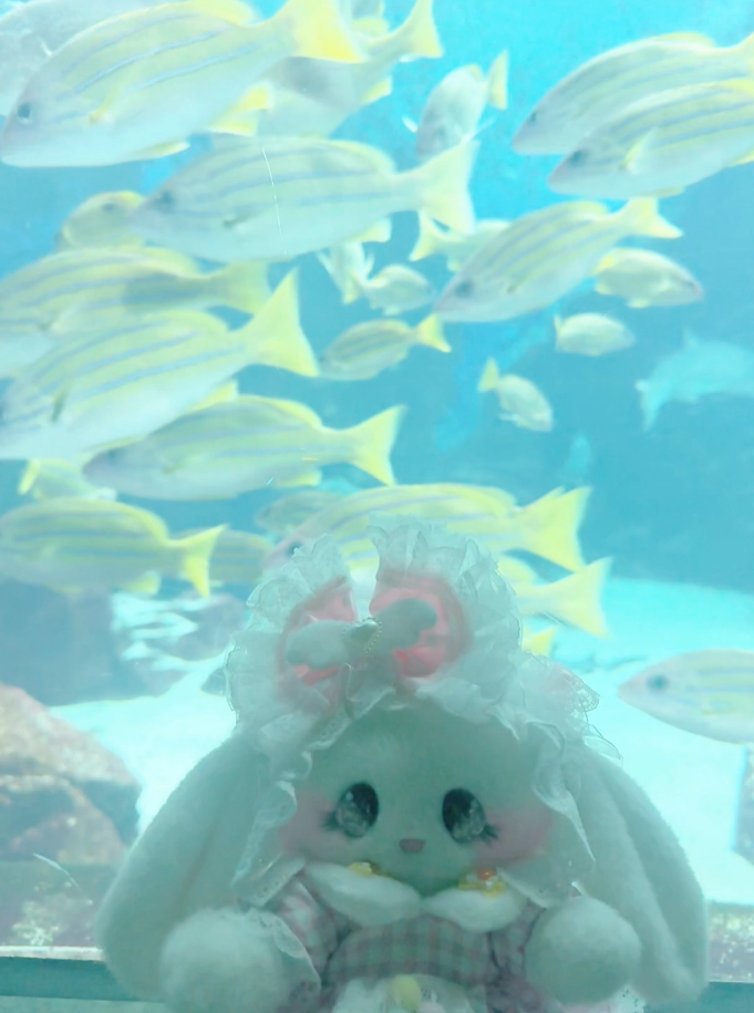 ぷりまるちゃん♡水族館フォト