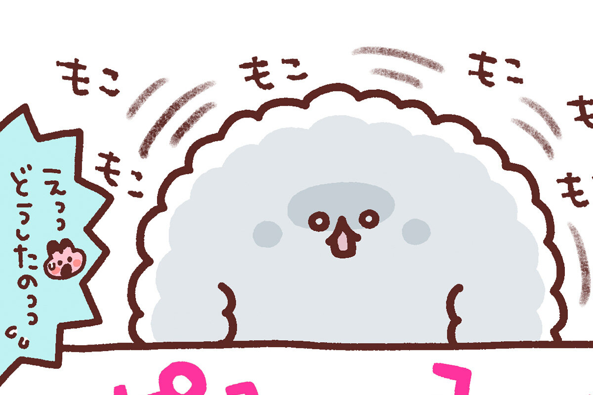 ふわもこちゃんイラスト
