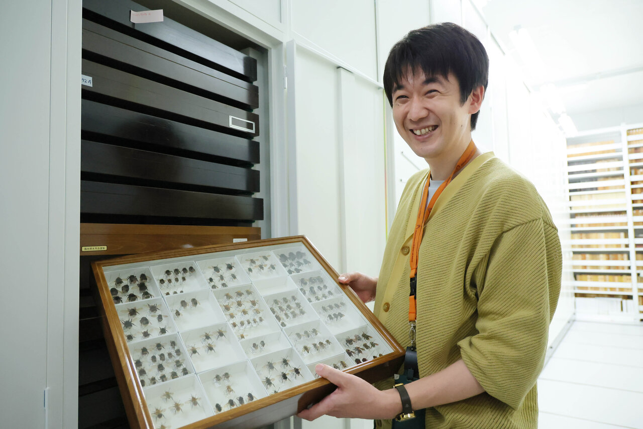 ▲収蔵庫でハチの標本を持つ井手先生。インタビューは国立科学博物館・筑波研究施設（茨城県・つくば市）にて行われた。