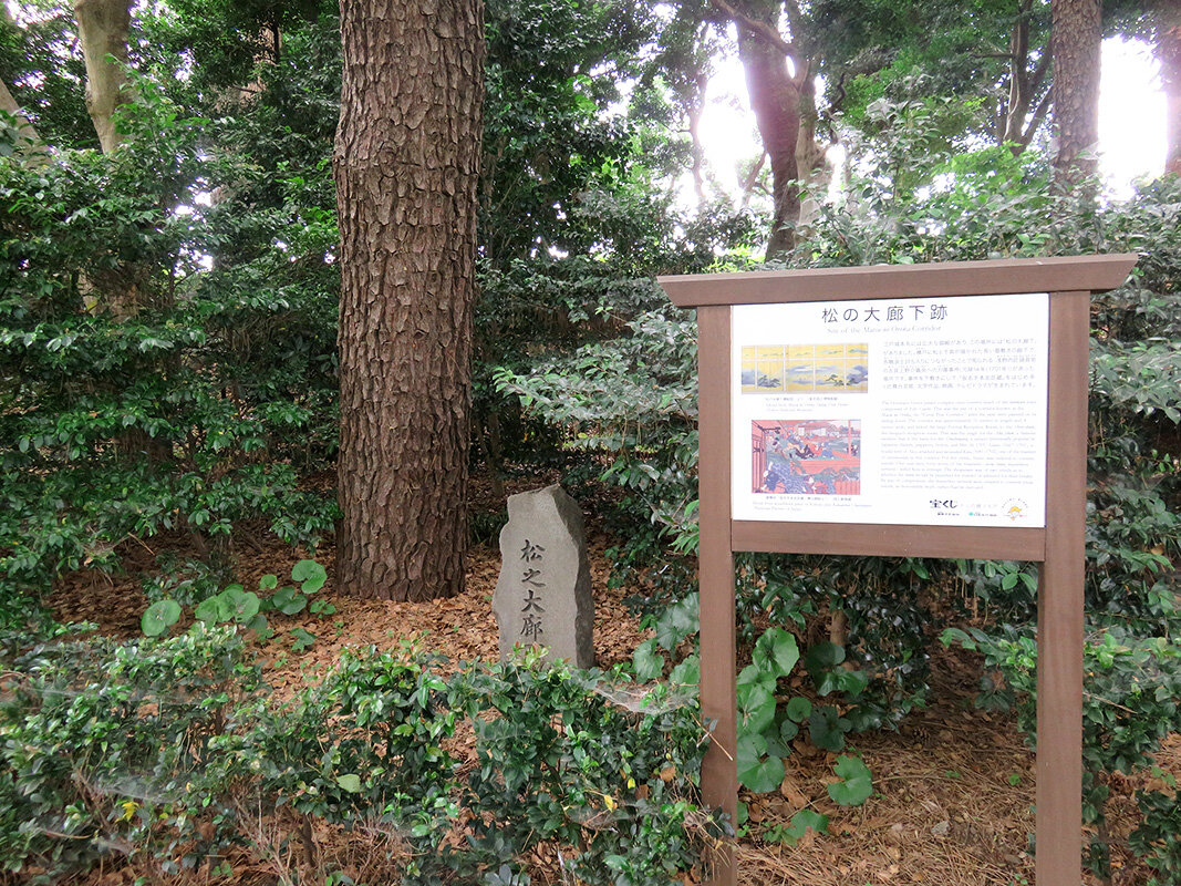 大きな松が植えられている松の大廊下跡の画像