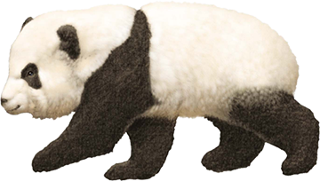 パンダ